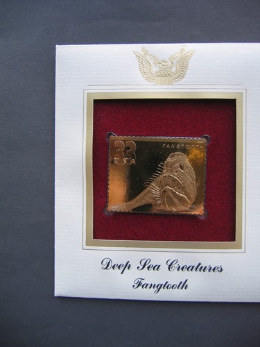 2000 deep sea creatures - 2000,