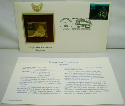 2000 deep sea creatures - 2000,