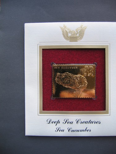 2000 deep sea cucumber - deep,